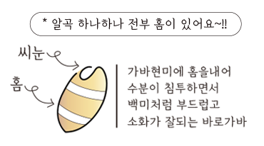 barogava_logo_01 barogava_logo_01