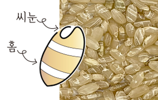 brownrice_02