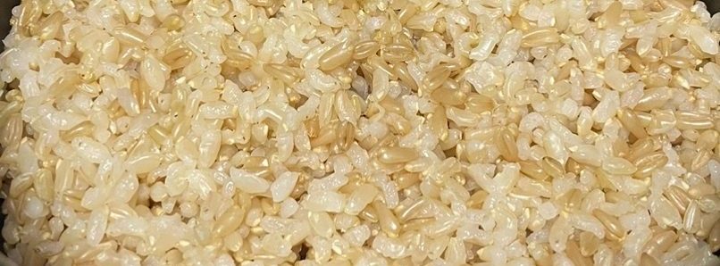 oat_bab oat_bab