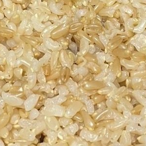 oat_bab oat_bab